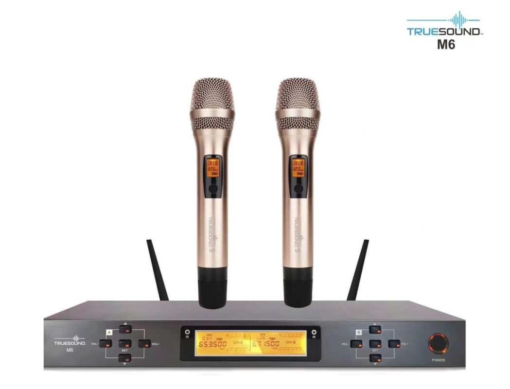 MIC KHÔNG DÂY CAO CẤP TRUESOUND M6 CHÍNH HÃNG
